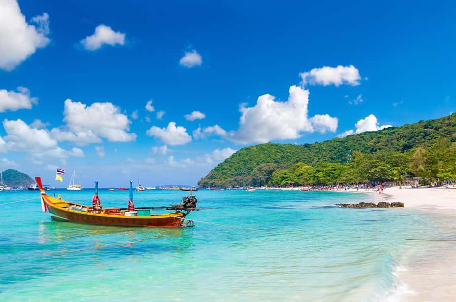 Koh Samui: Island Hopping Adventure in Coral and Pig Island - Pig Island (Koh Madsum): Wild Pigs, Guided Orientation, and Unrushed Photo Moments