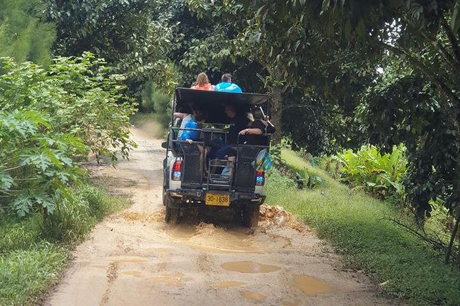 Koh Samui Jungle Safari Around The island Tour - Na Muang Waterfall: the stop people remember