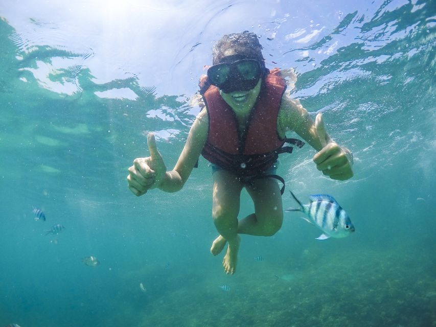 Koh Samui: Pig Island & Koh Tan Snorkeling by Speed boat - Key points to know before you go