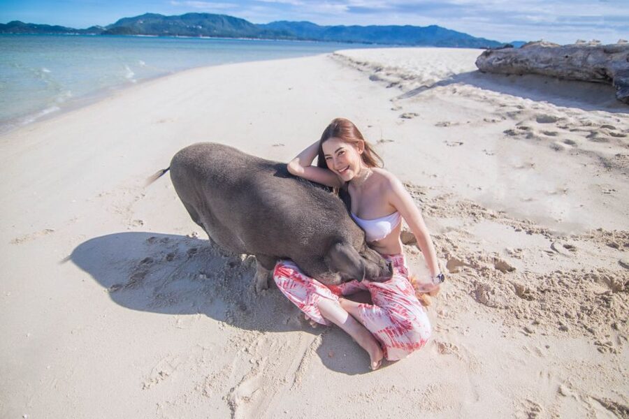 Koh Samui: Pig Island & Koh Tan Snorkeling by Speed boat - What to pack: small items that make a big difference