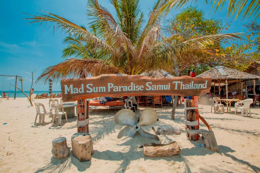 Koh Samui: Pig Island & Koh Tan Speedboat Tour with Lunch - Price and Value: Why $47 Can Work (and When It Might Not)