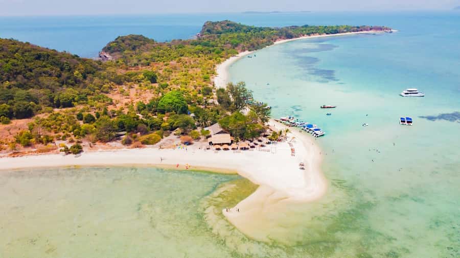 Koh Samui: Pig Island & Koh Tan Speedboat Tour with Lunch - Speedboat Ride: Quick Transportation and a Real Motion Test