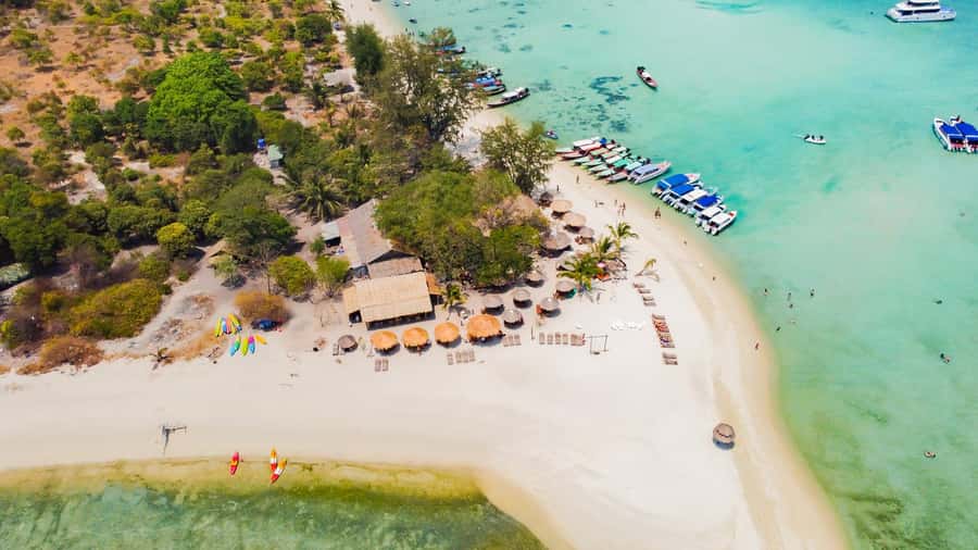 Koh Samui: Pig Island & Koh Tan Speedboat Tour with Lunch - Koh Tan: Photo Stop, Swimming, and Snorkeling With a Guided Rhythm