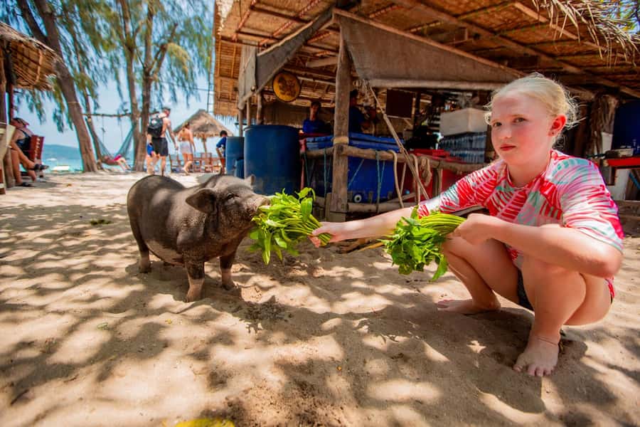 Koh Samui: Pig Island & Koh Tan Speedboat Tour with Lunch - Koh Madsum: Walk, Swim, Kayak, and a Slower Kind of Island Time