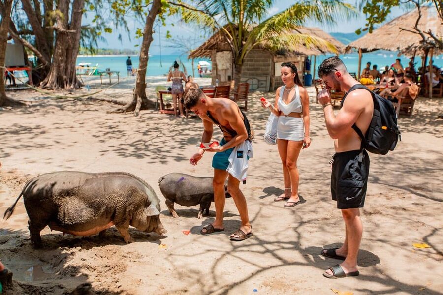 Koh Samui: Pig Island & Koh Tan Speedboat Tour with Lunch - Lunch on the Day: What Included Means for Real-Life Value