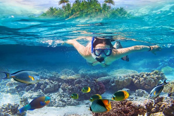 Koh Samui Snorkeling and Kayaking - Why Koh Tan and Koh Madsum work for a short Samui water day