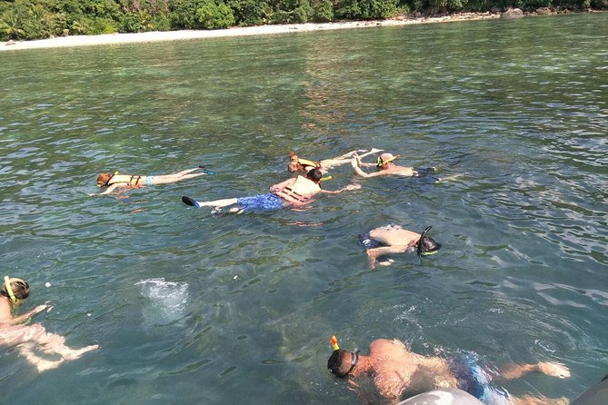 Koh Samui Snorkeling and Kayaking - Koh Tan (Coral Island) snorkeling: giant clams, reef fish, and what to expect in the water