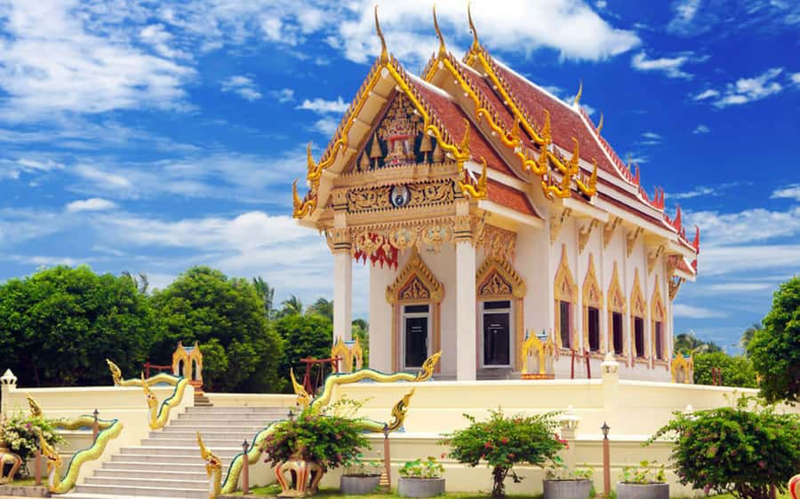 Koh Samui: Travstore Original Koh Samui Discovery Tour - Chaweng Viewpoint and the mummified monk (Luong Pordaeng)
