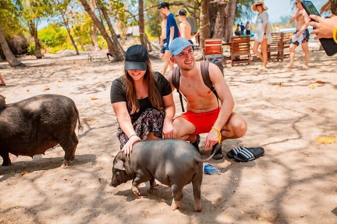Koh Tan and Pig Island Half-Day Tour by Speed Catamaran - Key highlights worth your attention