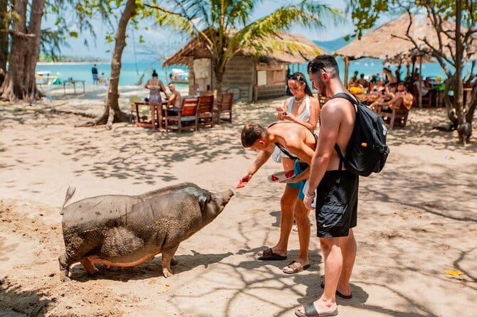Koh Tan and Pig Island Half-Day Tour by Speed Catamaran - The 4-hour plan: how packed is it, and what pace to expect?