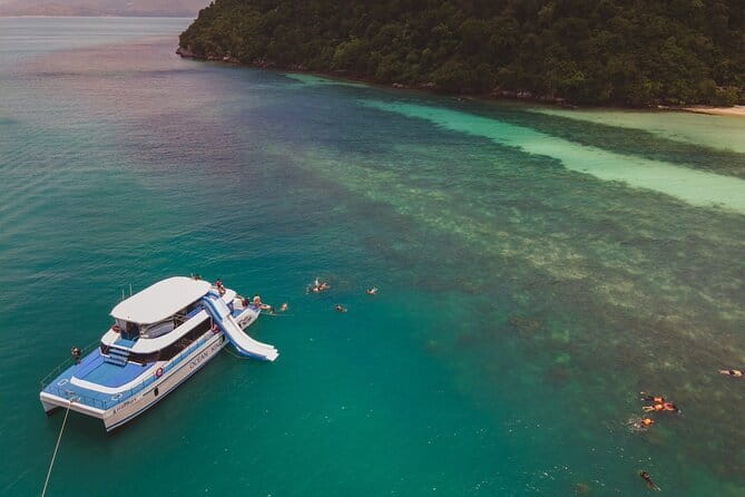 Koh Tan and Pig Island Half-Day Tour by Speed Catamaran - Stop 1 at Ko Mat Sum: Pig Island swimming, what to expect, and how to be respectful