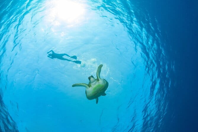 Koh Tan and Pig Island Half-Day Tour by Speed Catamaran - Stop 2 at Koh Tan: snorkeling and the sea activities that change the vibe