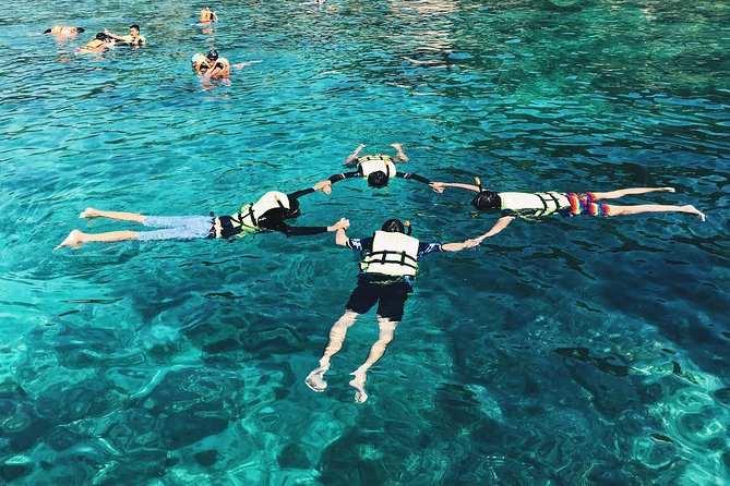 Koh Tao and Koh Nang Yuan Snorkeling Trip By Speedboat From Koh Samui - National Park Fee: The One Extra Line Item You Should Budget