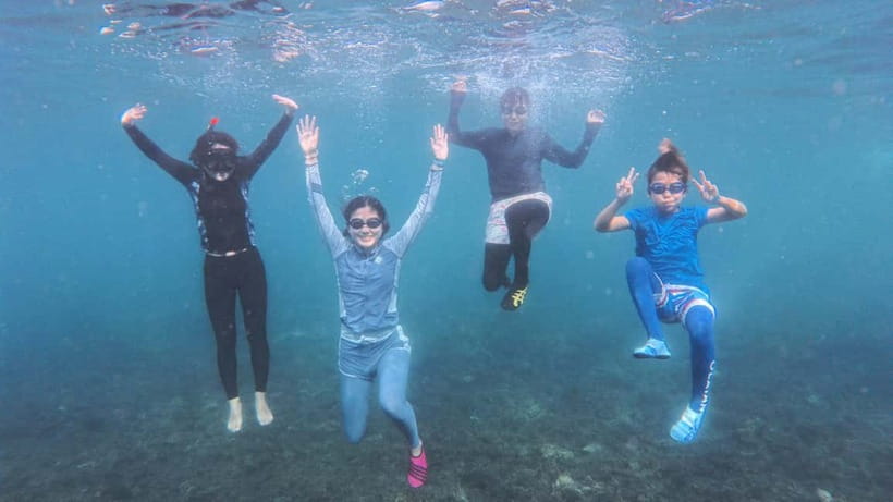 Koh Tao: First Light Snorkel Adventure with Oxygen Tours - Morning logistics from Mae Haad Pier (and why it matters)