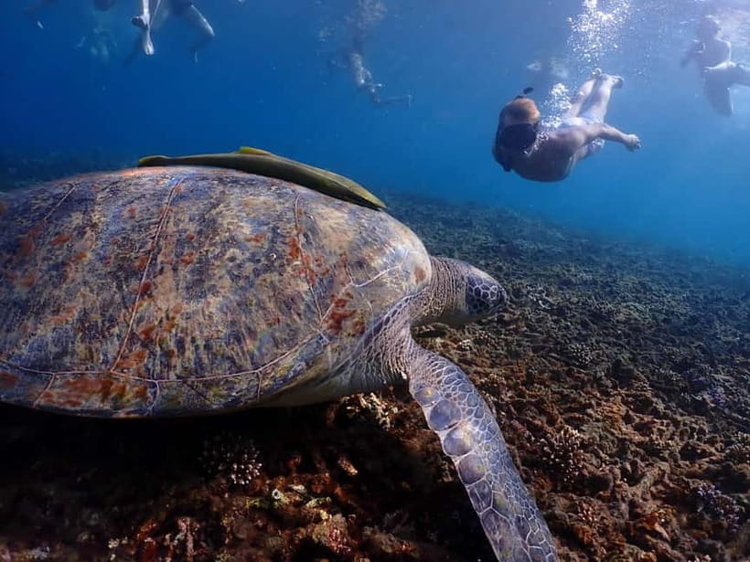Koh Tao: Golden Hour Getaway – Your Late Start to Paradise - Koh Tao Golden Hour Getaway: what the day feels like
