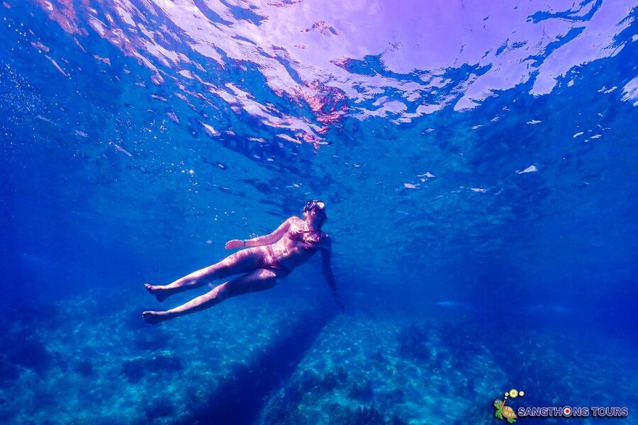 Koh Tao: Islands Snorkeling Highlights Day Tour & Lunch - What to Bring (And What Actually Helps Underwater)
