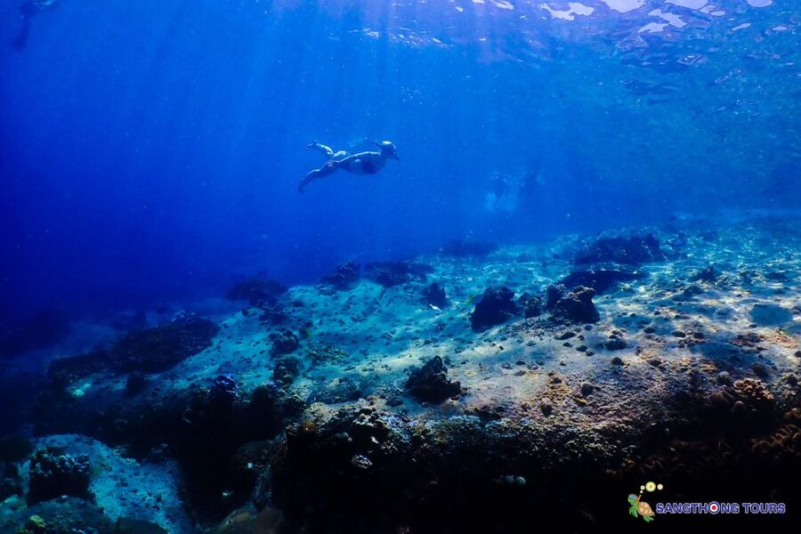 Koh Tao: Islands Snorkeling Highlights Day Tour & Lunch - Japanese Reef Garden Snorkeling: Coral Reed, Fish, and Guide-Led Confidence