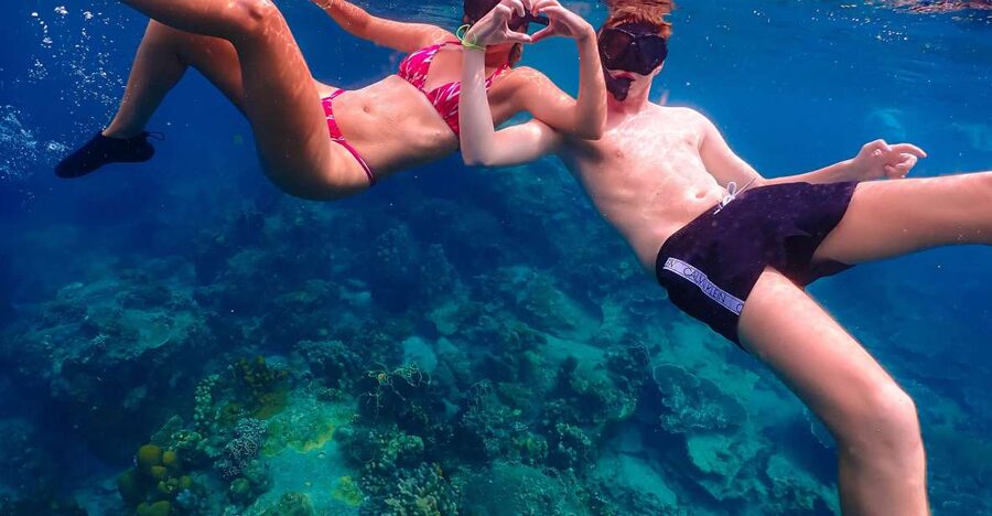 Koh Tao: Islands Snorkeling Highlights Day Tour & Lunch - Shark Bay: Where Blacktip Reef Sharks and Turtles Become the Main Event