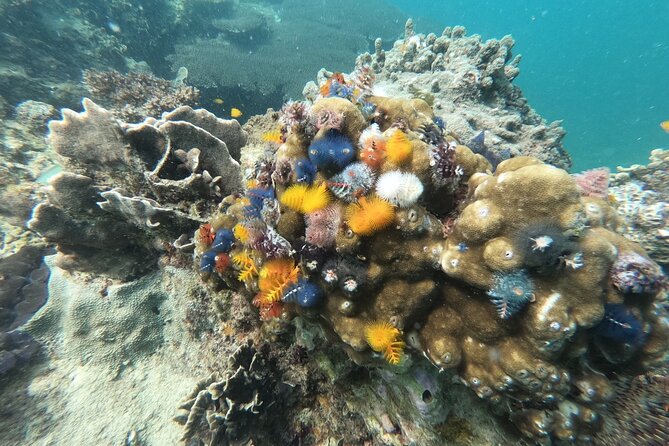 Koh Tao & Koh Nang Yuan Snorkeling Tour by Speed Boat from Samui - Stop 1 at Nang Yuan: three-island snorkeling plus the viewpoint climb