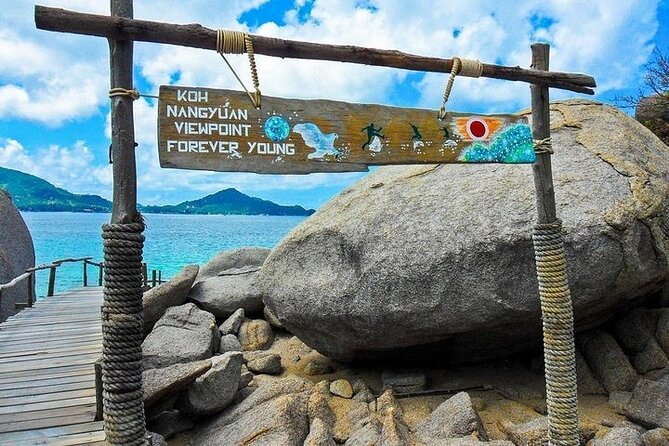 Koh Tao & Koh Nang Yuan Snorkeling Tour by Speed Boat from Samui - Hin Wong Bay snorkeling: fish numbers can be the headline
