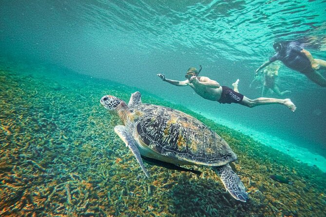 Koh Tao, Koh Nangyuan and Hidden Bays Snorkeling with Lunch - Key Highlights You’ll Care About
