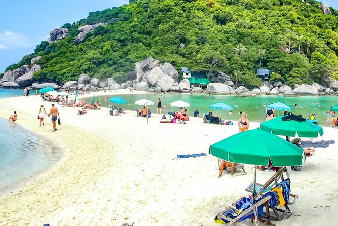 Koh Tao, Koh Nangyuan and Hidden Bays Snorkeling with Lunch - Eco Notes: Protecting Reefs While You Chase Sharks and Turtles