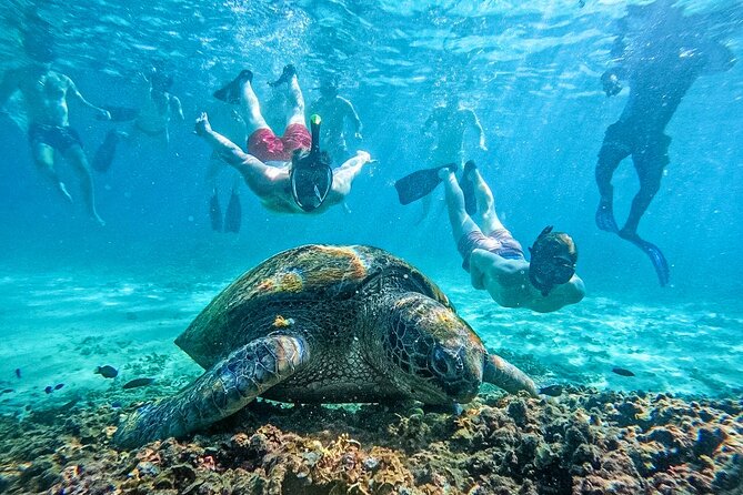 Koh Tao, Koh Nangyuan and Hidden Bays Snorkeling with Lunch - The Day at a Glance: 10:00 Start and About 6.5 Hours
