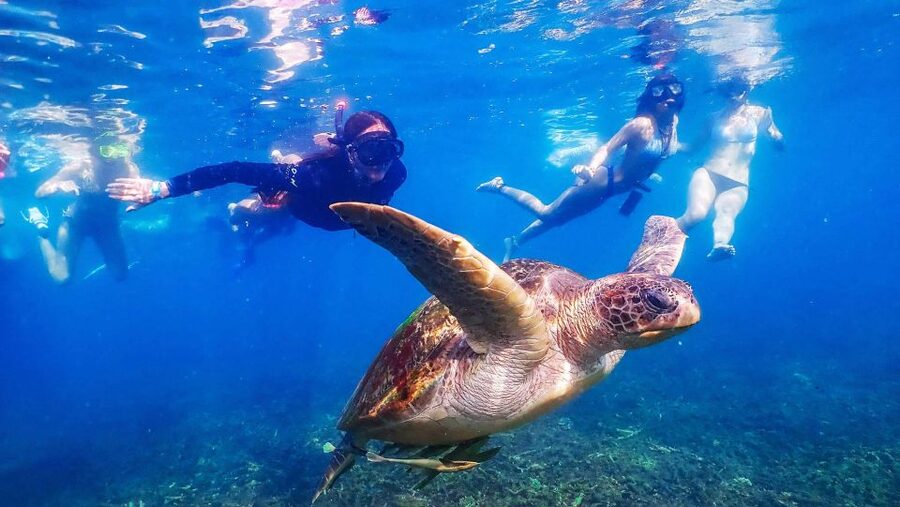 Koh Tao: Koh Nangyuan and the Hidden Bays Trip by the Oxygen - Lunch, snacks, and the little boat perks that add up