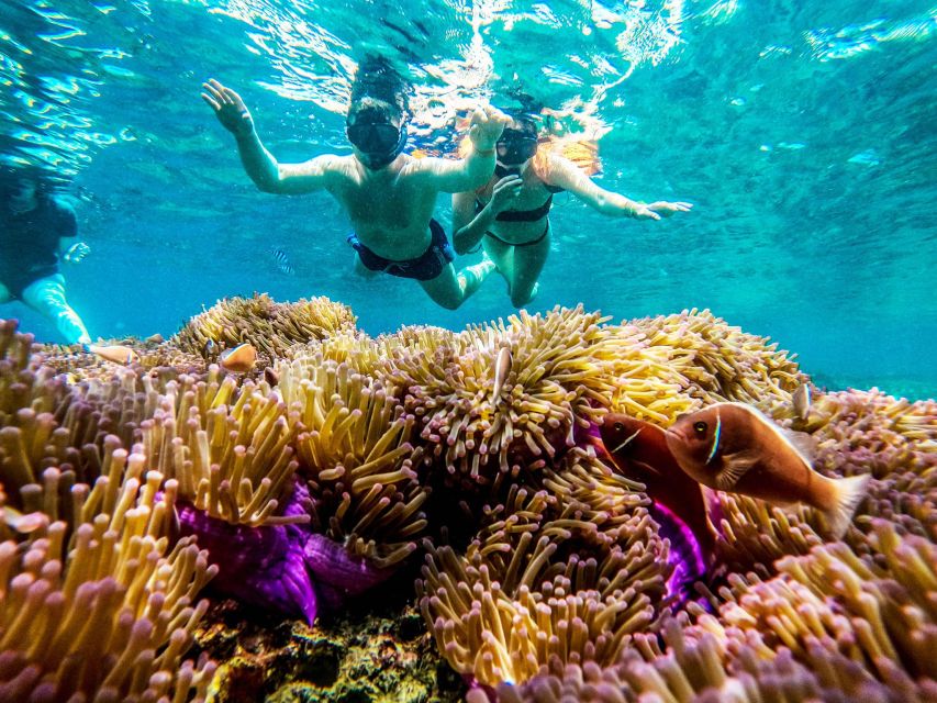 Koh Tao: Koh Nangyuan and the Hidden Bays Trip by the Oxygen - Underwater photos and how to make the most of them