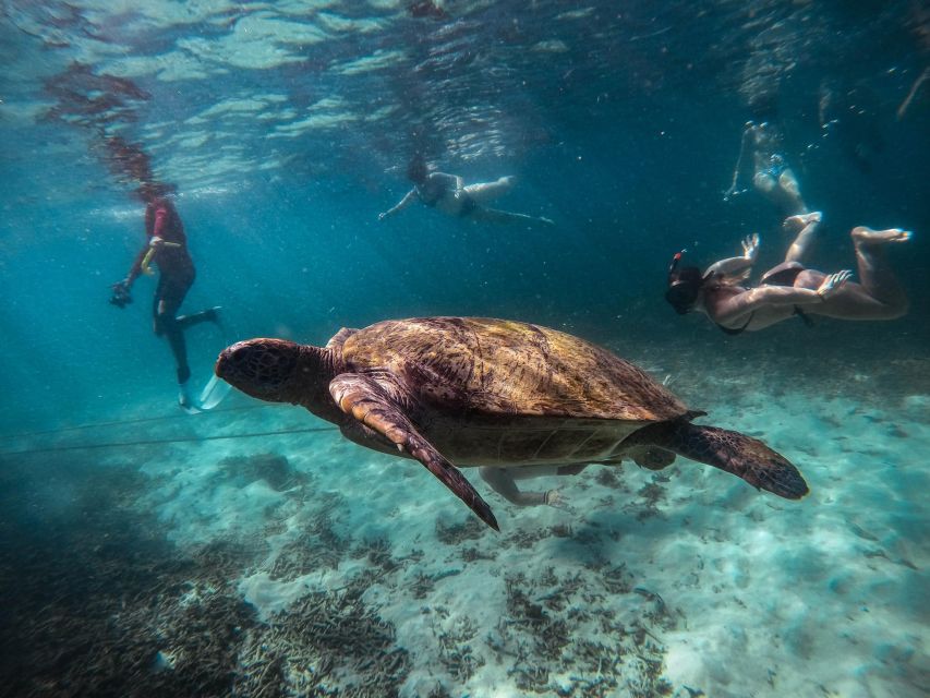 Koh Tao: Koh Nangyuan and the Hidden Bays Trip by the Oxygen - Price and logistics: is $24 actually good value?