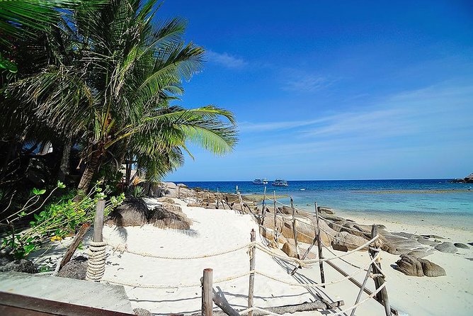 Koh Tao & Koh Nangyuan by Speed Boat (Snorkeling trip from Koh Samui) - Price and value: what you’re really paying for