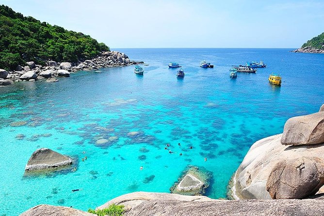 Koh Tao & Koh Nangyuan by Speed Boat (Snorkeling trip from Koh Samui) - Snorkeling expectations: what the day is set up to deliver