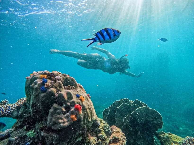 Koh Tao: Koh Nangyuan & Hidden Bays Snorkeling Tour w/ Lunch - Key Highlights You’ll Care About