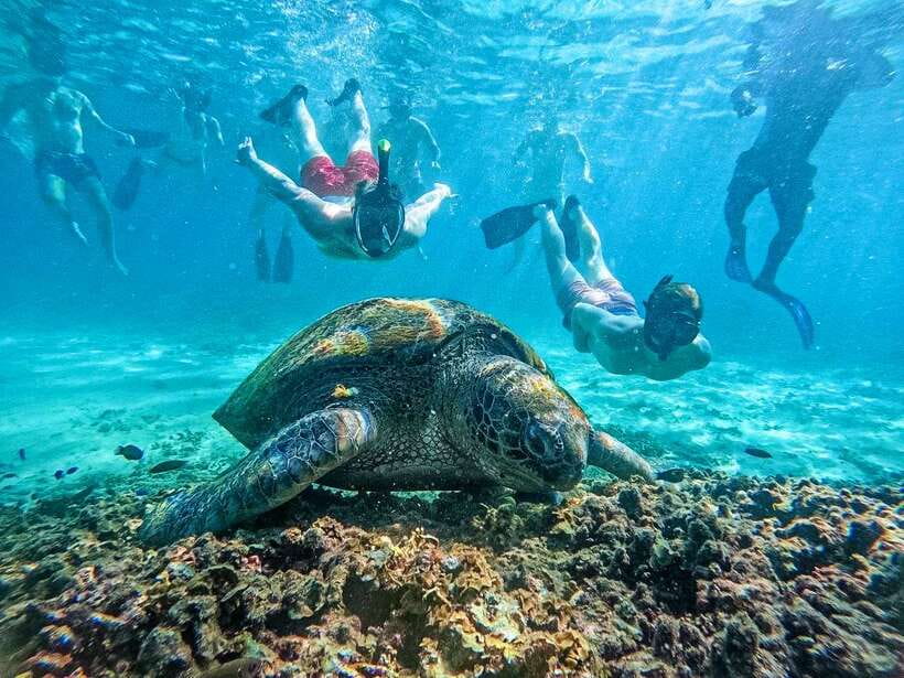 Koh Tao: Koh Nangyuan & Hidden Bays Snorkeling Tour w/ Lunch - Koh Nang Yuan: the tiny islets where snorkeling feels easy