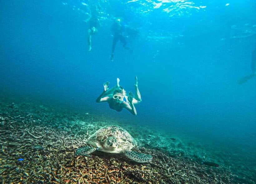 Koh Tao: Koh Nangyuan & Hidden Bays Snorkeling Tour w/ Lunch - Shark Bay: the spot for reef sharks, plus a photo moment