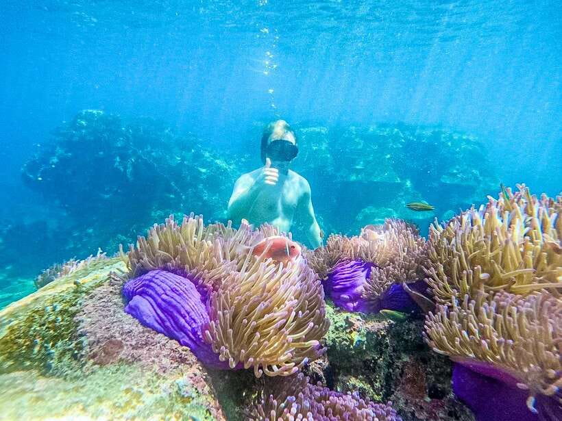 Koh Tao: Koh Nangyuan & Hidden Bays Snorkeling Tour w/ Lunch - Mango Bay lunch on the boat: real food, not just a snack
