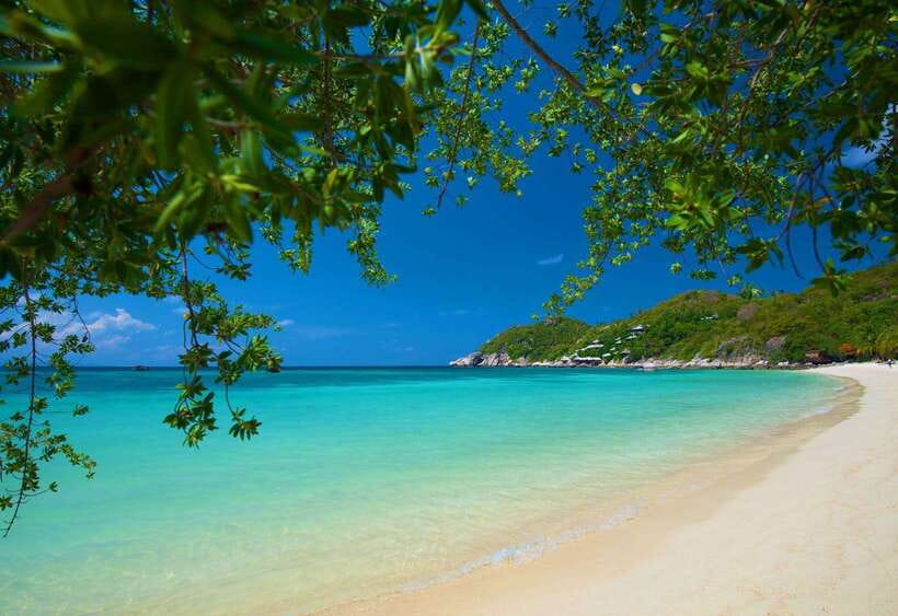 Koh Tao: Premium Snorkel Tour to Koh Nangyuan Bays by Oxygen - Koh Nangyuan Island: Viewpoint Hike, Photo Time, and Snorkel-Friendly Water