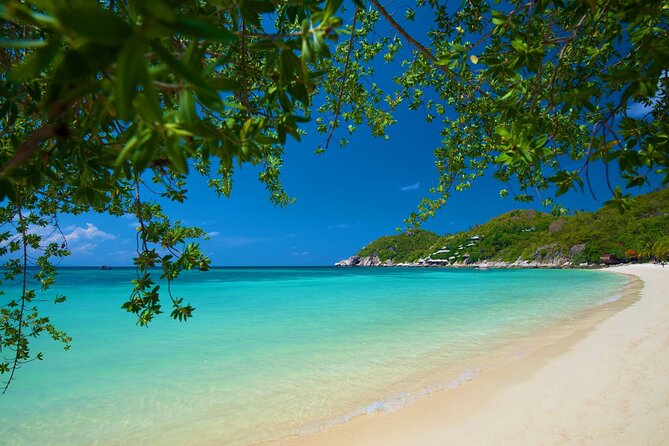 Koh Tao's First Light Snorkel Adventure with Oxygen Tours - Breakfast and Thai lunch on board: the part that makes the trip feel worth it