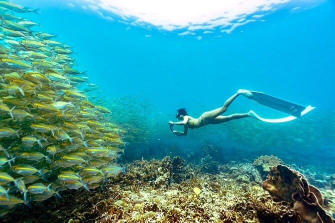 Koh Tao’s Top Snorkeling Spots by Vintage Wooden Boat - Why a vintage wooden boat changes the Koh Tao snorkeling mood