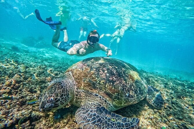 Koh Tao’s Top Snorkeling Spots by Vintage Wooden Boat - Stop 3: Mango Bay lunch break with panoramic views