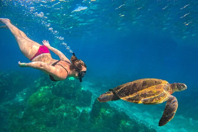 Koh Tao’s Top Snorkeling Spots by Vintage Wooden Boat - Stop 4: Hin Wong Bay banana fish, rabbitfish, parrotfish, and a small cave swim