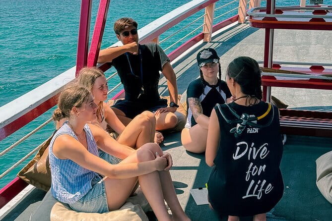 Koh Tao’s Top Snorkeling Spots by Vintage Wooden Boat - Stop 6: Shark Bay’s sea turtles and blacktip reef sharks in shallow, calm conditions