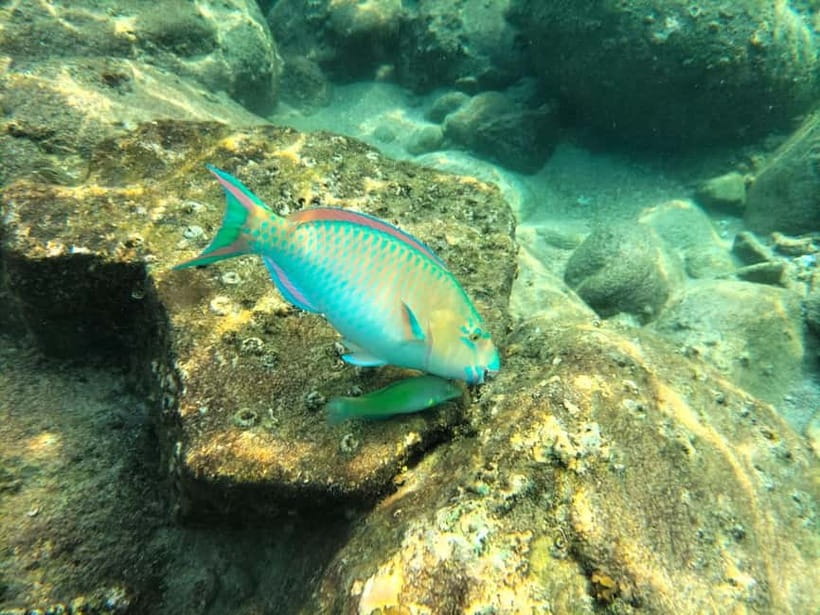 Koh Tao: Snorkeling and Sunset Tour - Who should book this Koh Tao sunset snorkel tour