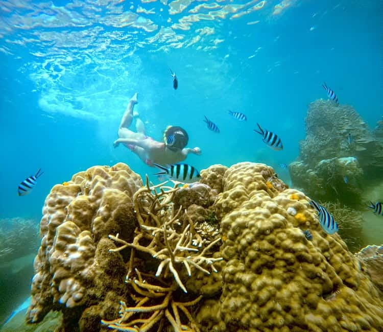 Koh Tao: Snorkeling Trip to Nang Yuan Island & Hidden Bays - Nang Yuan Island: the short island walk that changes the mood