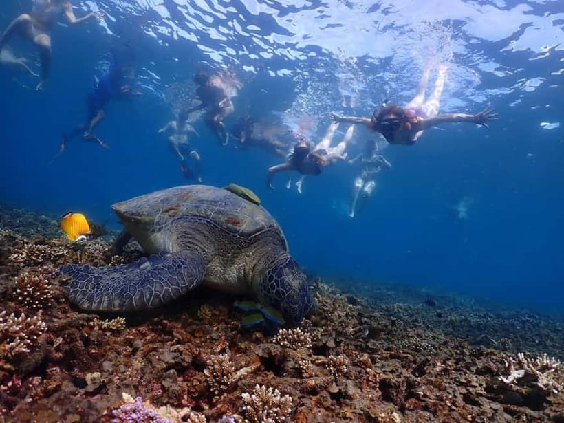 Koh Tao: Underwater Gems, Island Hopping & Snorkel Adventure - Why This Koh Tao Island Hopping Route Works So Well