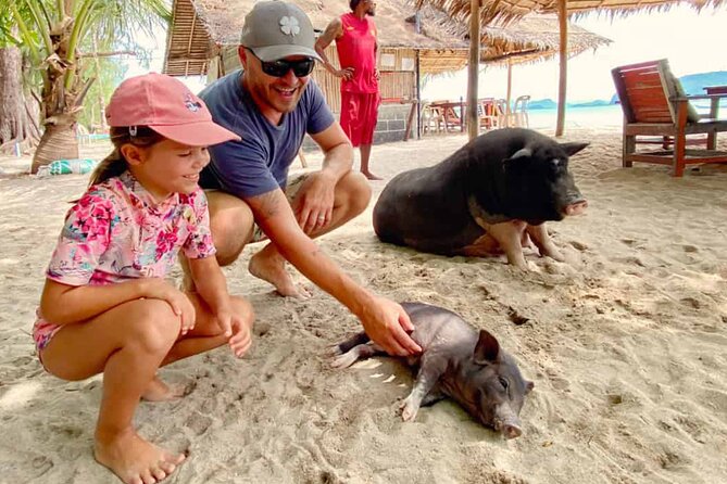 kohsamui.tours - Pig Island Snorkeling Eco Tour by Speed Boat - Getting to Thong Krut: pickup that keeps the morning moving