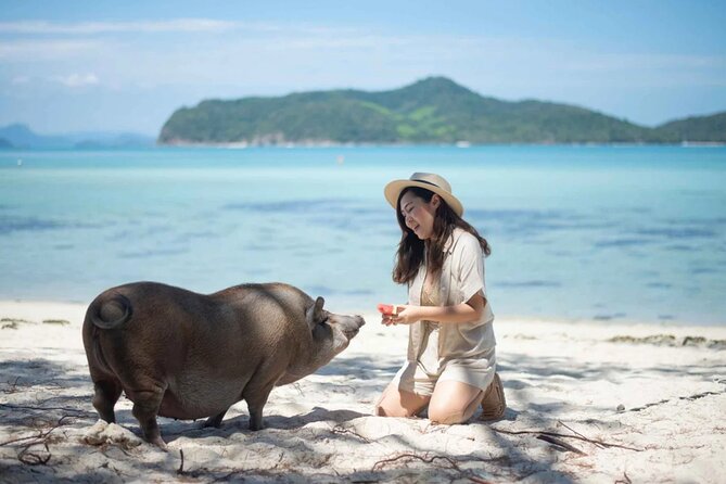 kohsamui.tours - Pig Island Snorkeling Eco Tour by Speed Boat - Koh Mudsum Pig Island: woolly pigs, kayaking, and a truly quiet beach