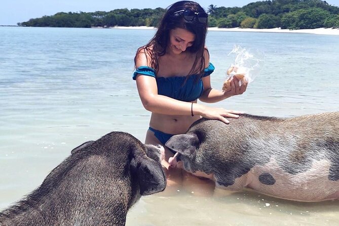 kohsamui.tours - Pig Island Snorkeling Eco Tour by Speed Boat - Price and booking: how the $63.15 fits the day