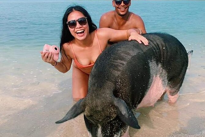 kohsamui.tours - Pig Island Snorkeling Eco Tour by Speed Boat - Koh Tan snorkeling: calm seas and intact coral reef