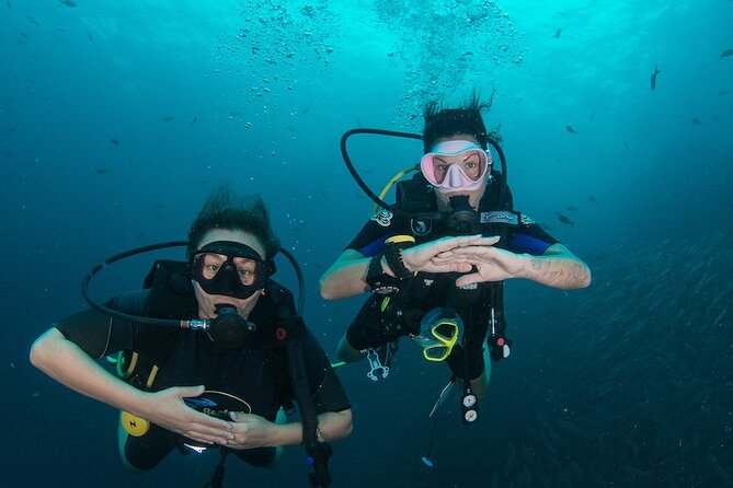 La Bombona Diving Koh Tao Open Water Course - Key things to know before you go